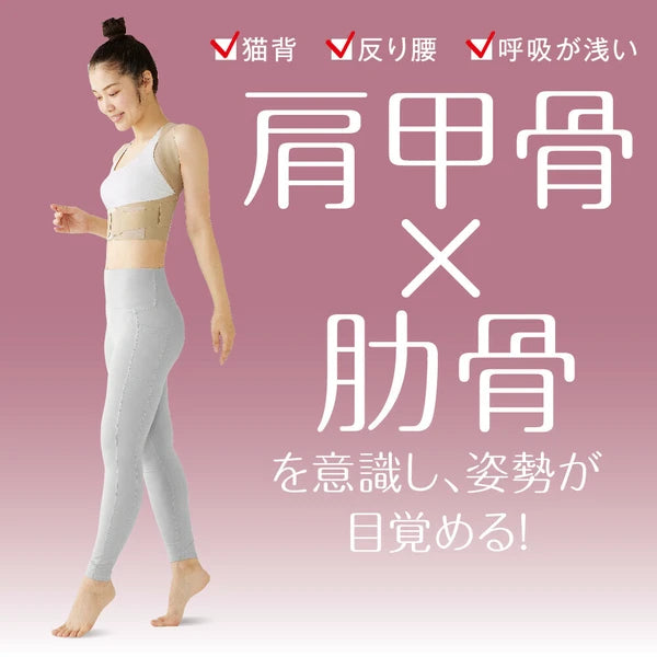 日本JP直送 Doctor's 核心姿勢支撐器 Pitahada 日本製造(改善姿勢的核心支撐器){10月30截單;預計10-14 工作天發貨}