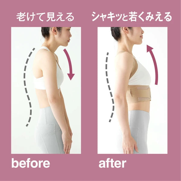 日本JP直送 Doctor's 核心姿勢支撐器 Pitahada 日本製造(改善姿勢的核心支撐器){10月30截單;預計10-14 工作天發貨}