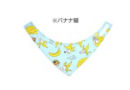日本JP直送【深受海外人士喜愛! 】【日本製造 】日式貓咪頭巾,適合小貓和小狗{10月30截單;預計10-14 工作天發貨}