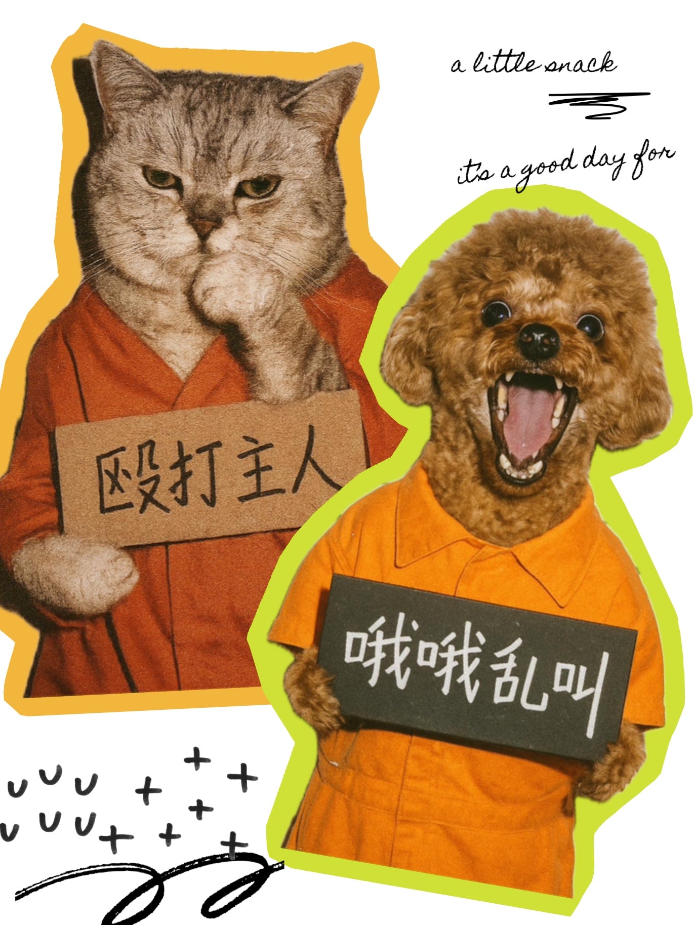 貓狗雜貨