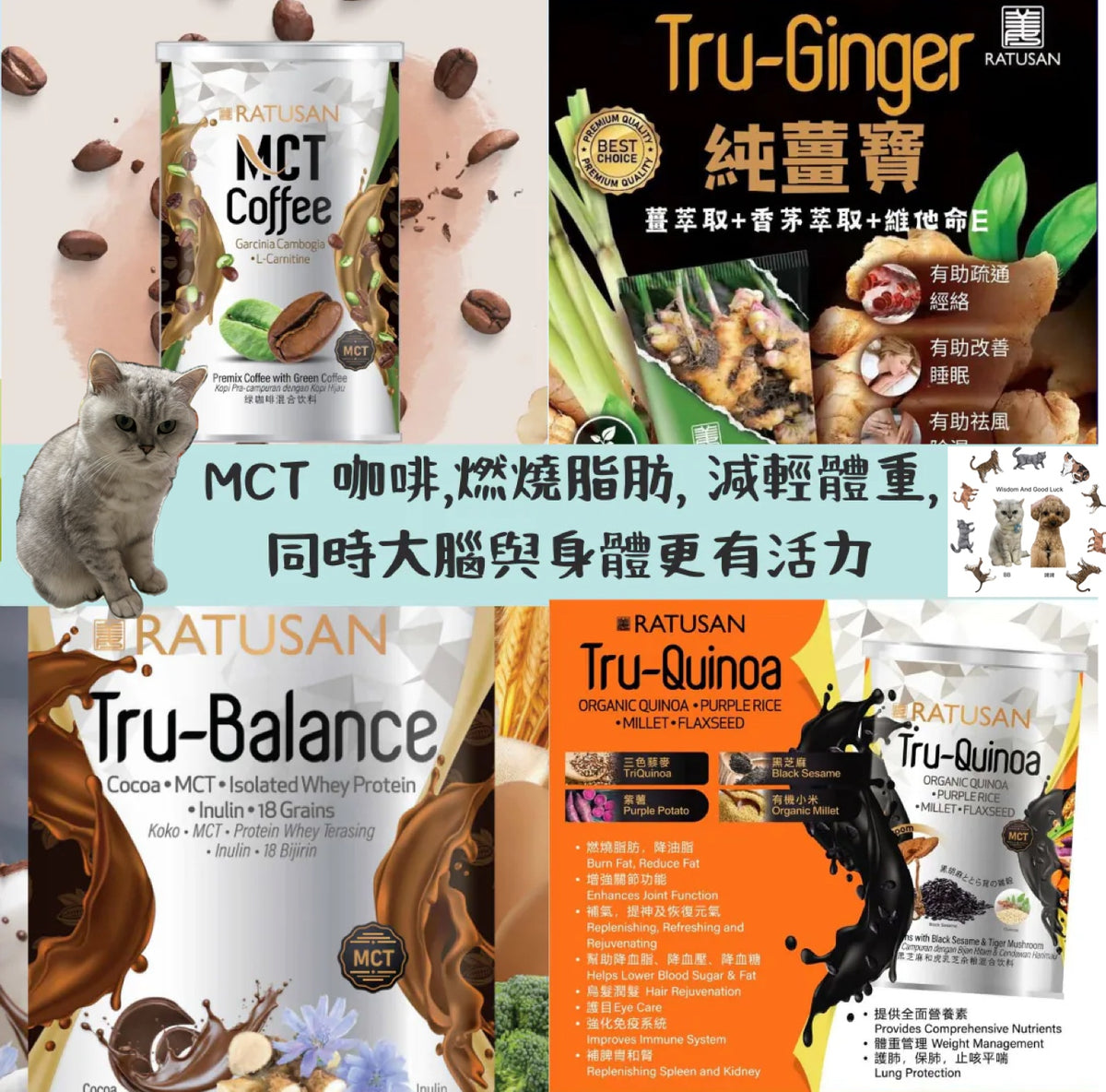 RATUSAN MCT 咖啡 綠咖啡混合飲料|TRU-BALANCE 高蛋白質纖維可可代餐 | TRU QUINOA 黑芝麻和虎乳芝 |純薑寶 文冬薑多功能乳霜|初榨麻油頭|砂拉越胡椒粉【9/20 截單，預計 :9月尾至10月中發貨】