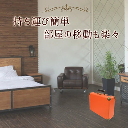 日本JP直送   CICONIA 古典唱片機 TE-1907 有 3 種顏色可選  {10月30截單;預計10-14 工作天發貨}