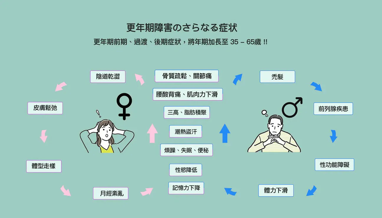 日本製【Ystella Isoflabo 解決荷爾蒙失調 身體找回平衡】|逆齡煥顏|預防三高|提升記憶力及免疫力|改善盗汗|穩定情緒 擊退肥胖|激活關節    {8月2截單;預計10-14 工作天發貨}