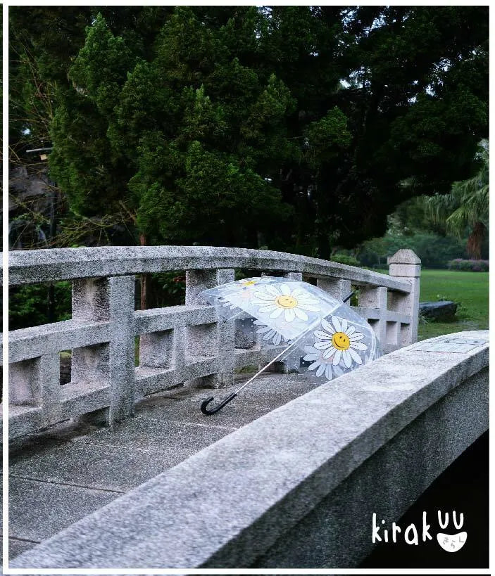 日本 Kirakuu 菊花笑面透明雨傘|浪漫氛圍|雨傘雨具系列|長傘|大範圍擋風擋雨{3月15截單;預計10-14 工作天發貨}
