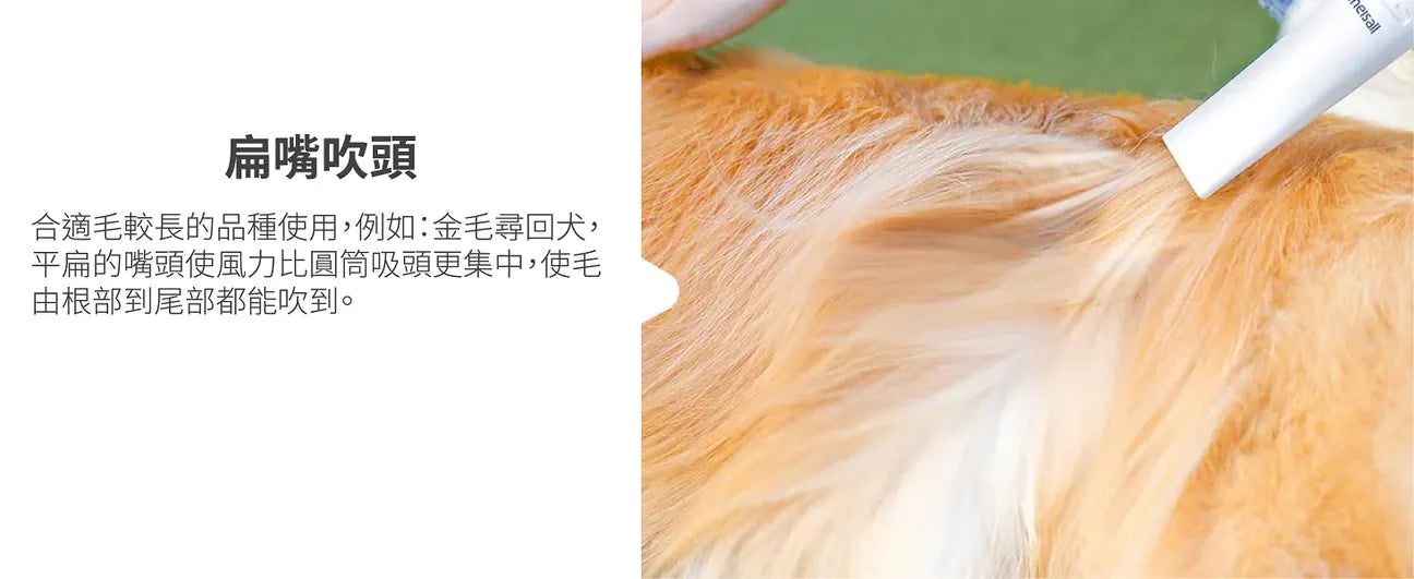 Oneisall – KYLE 多功能寵物美容真空吸毛&吹毛器|1機吹吸2用【香港行貨｜1年保養】|寵物|吹毛|吸毛|梳毛|順毛|剃毛|打掃|寵物美容  {3月15截單;預計10-14 工作天發貨}