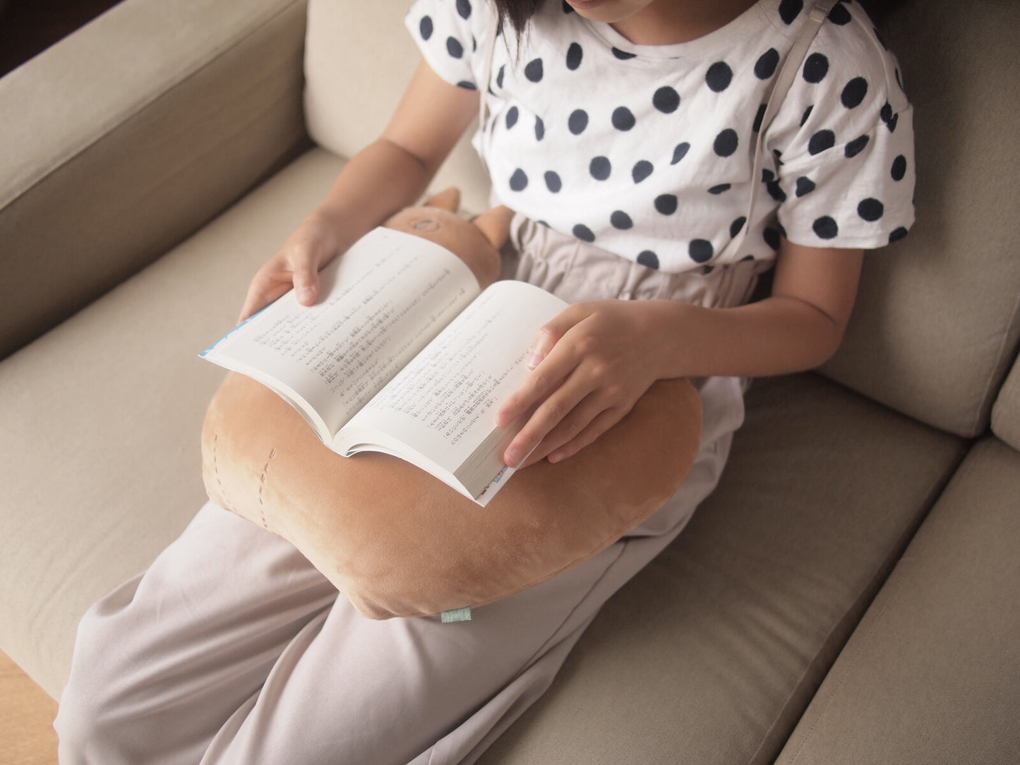 日本JP 直送  Nyafunyafu 貓咪姿勢支撐墊{11月30截單;預計10-14工作天發貨｝