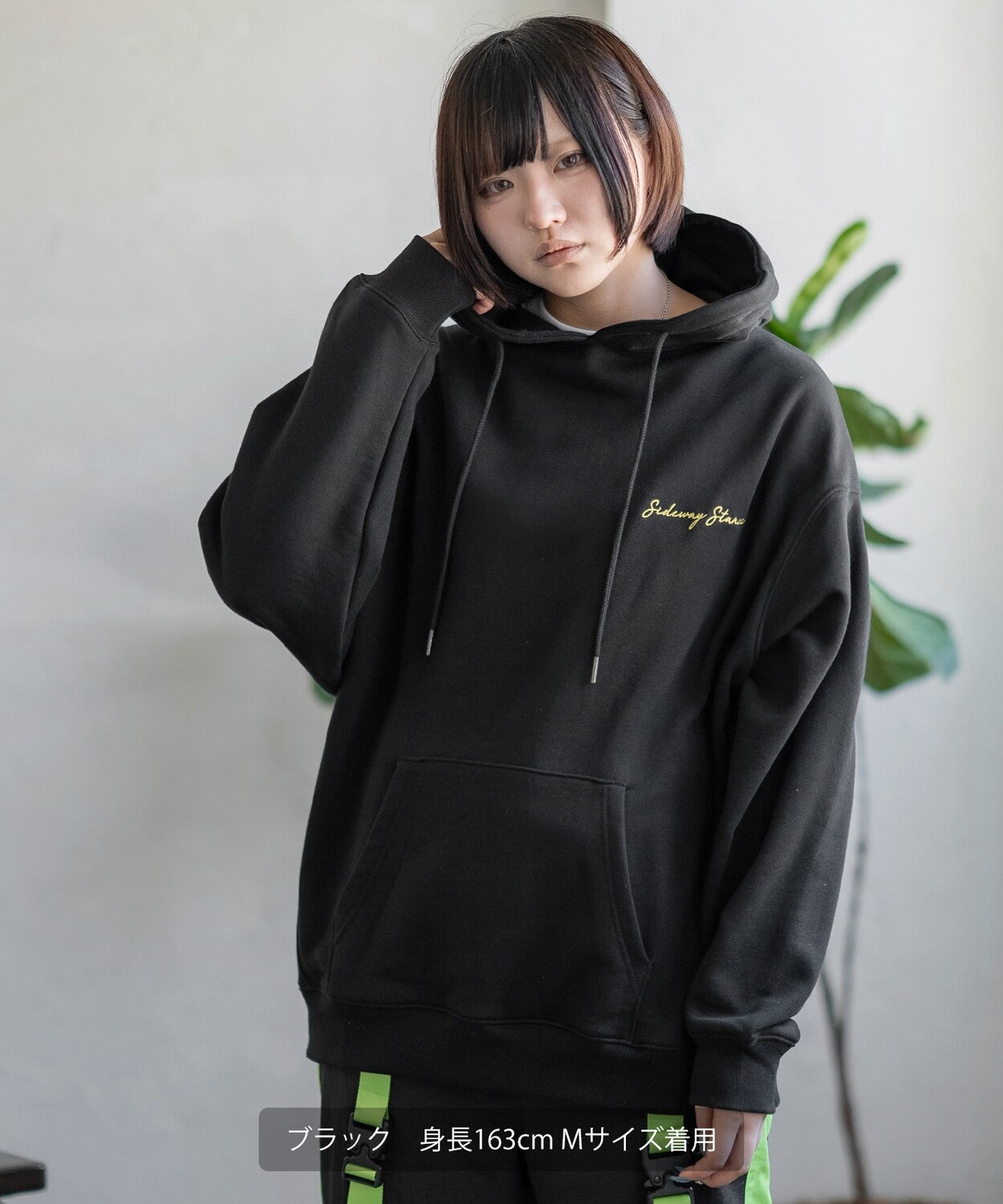 日本JP直送 彩色滑板圖案 Downer Bear {11月30截單;預計10-14工作天發貨