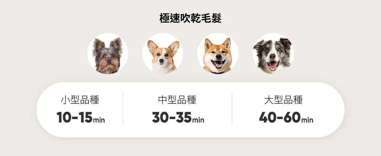 Oneisall – KYLE 多功能寵物美容真空吸毛&吹毛器|1機吹吸2用【香港行貨｜1年保養】|寵物|吹毛|吸毛|梳毛|順毛|剃毛|打掃|寵物美容  {3月15截單;預計10-14 工作天發貨}