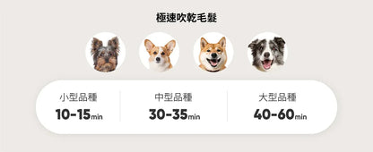 Oneisall – KYLE 多功能寵物美容真空吸毛&吹毛器|1機吹吸2用【香港行貨｜1年保養】|寵物|吹毛|吸毛|梳毛|順毛|剃毛|打掃|寵物美容  {3月15截單;預計10-14 工作天發貨}