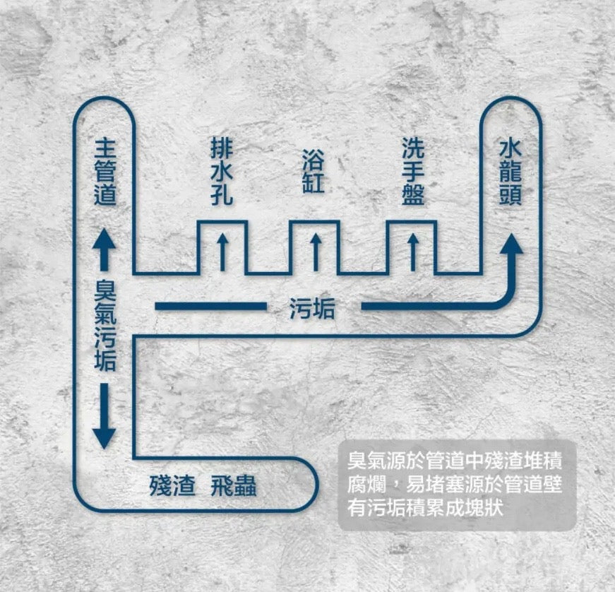 日本配方acc+ bump 管道爆泡劑 (一套兩支）      {8月2截單;預計10-14 工作天發貨}