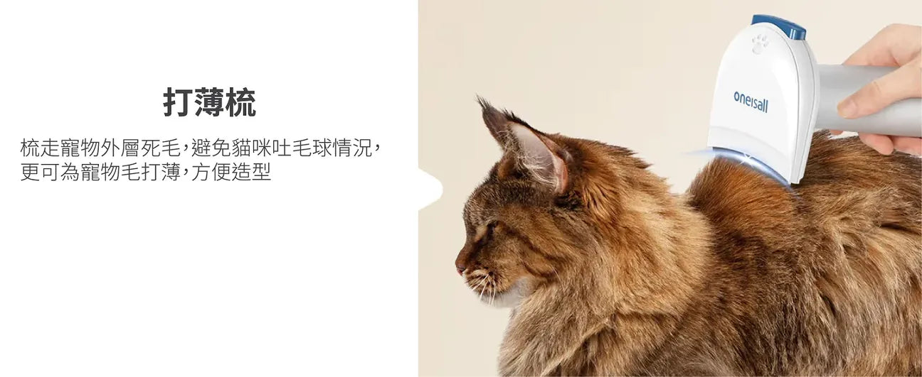 Oneisall – KYLE 多功能寵物美容真空吸毛&吹毛器|1機吹吸2用【香港行貨｜1年保養】|寵物|吹毛|吸毛|梳毛|順毛|剃毛|打掃|寵物美容  {3月15截單;預計10-14 工作天發貨}