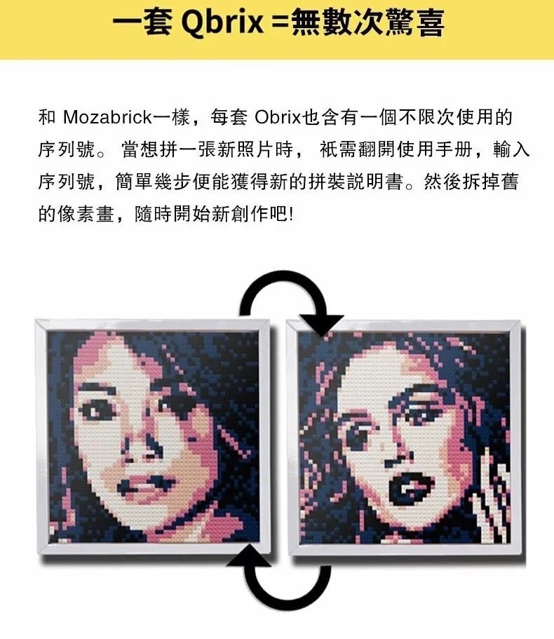 QBRIX 微顆粒圖元畫拼裝DIY照片 彩色版本  {3月15截單;預計10-14 工作天發貨}