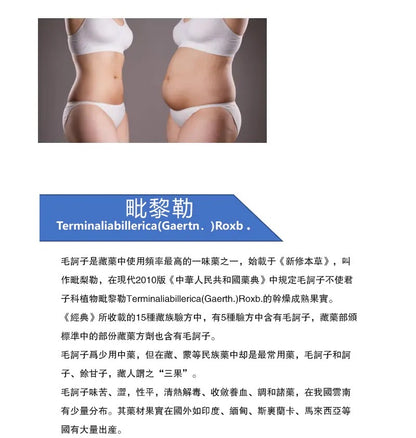活力降脂减肥片（降血脂） {8月2截單;預計10-14 工作天發貨}