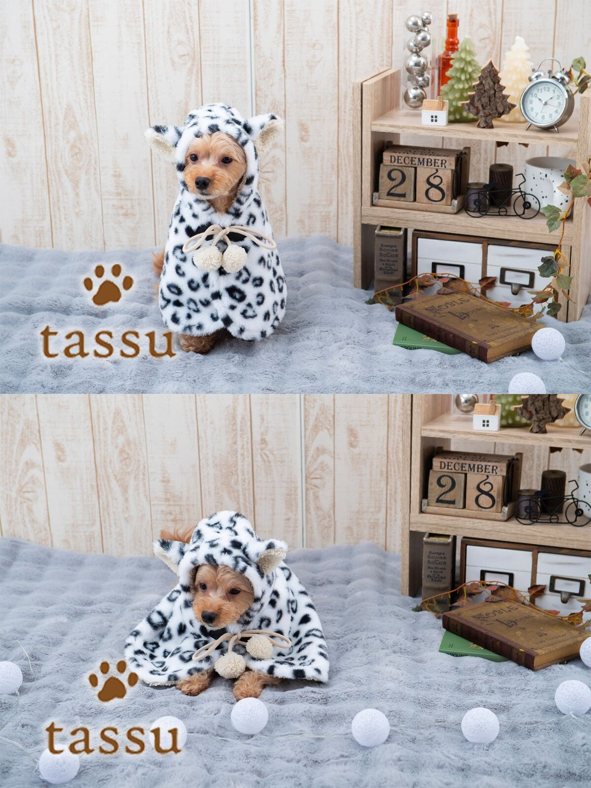 日本JP 直送  有兩種尺寸可選：帶帽斗篷，飾有動物毛皮，Tassu 寵物服飾，2025 年新品   {4月15截單;預計10-14 工作天發貨}