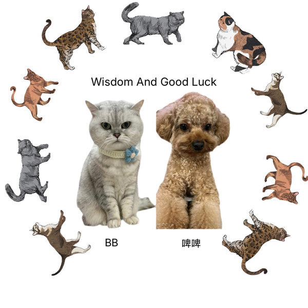 Wisdom And Good Luck 